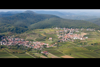 Vineyards and forest in the district Gleiszellen in Gleiszellen-Gleishorbach in the state Rhineland-Palatinate, Germany