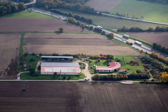 Egg farm in Erlenbach bei Kandel in the state Rhineland-Palatinate, Germany