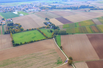 Aerial view of Paddock of Trakehner-Friedrich in Minfeld in the state Rhineland-Palatinate, Germany