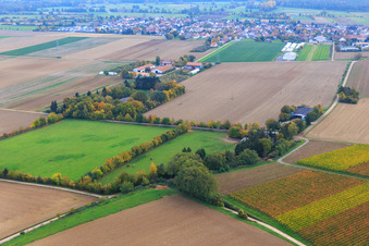 Paddock of Trakehner-Friedrich in Minfeld in the state Rhineland-Palatinate, Germany out of the air