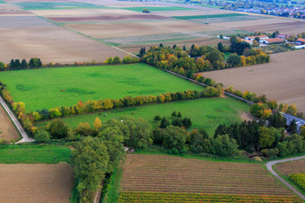 Paddock of Trakehner-Friedrich in Minfeld in the state Rhineland-Palatinate, Germany from the plane