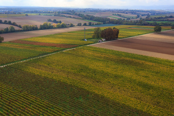 Aerial photograpy of Water fountain and cell phone tower on the high trail in Minfeld in the state Rhineland-Palatinate, Germany