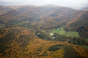 Aerial view of Dambach in the state Bas-Rhin, France