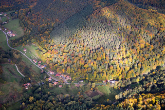 Dambach in the state Bas-Rhin, France from the plane