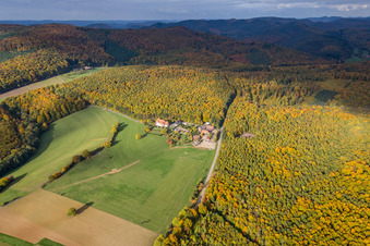 Aerial view of Buildings and parks at the mansion Villa le Riesack and farmhouse Mellon in fall-colours at the forest edge in Niederbronn-les-Bains in Grand Est, France