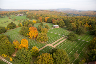 Grave rows on the grounds of the military  Centre de Rencontre Albert Schweitzer in Niederbronn-les-Bains in Alsace-Champagne-Ardenne-Lorraine, France