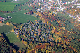 Holiday house plant of the park at sports-field in Vielbrunn in the state Hesse, Germany