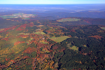 Eulbach Hunting Lodge and Eulbach Forester's House at the English Garden Eulbach in the district Würzberg in Michelstadt in the state Hesse, Germany