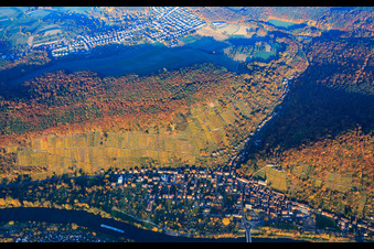 Klingenberger vineyard at the Seltenbach gorge in autumn leaves in the evening above the Main in Klingenberg am Main in the state Bavaria, Germany