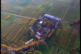 JKI Institute for Grape Breeding Geilweilerhof in Siebeldingen in the state Rhineland-Palatinate, Germany