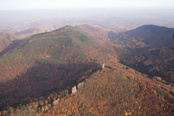 Aerial view of Castle ruins Anebos Jungturm and Scharfenberg in Leinsweiler in the state Rhineland-Palatinate, Germany