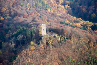Scharfenberg Castle ruins, called "Münz in Leinsweiler in the state Rhineland-Palatinate, Germany