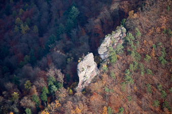 Jungturm Castle Ruins in Leinsweiler in the state Rhineland-Palatinate, Germany