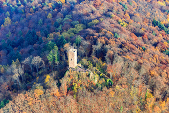 Scharfenberg Castle Ruins in Leinsweiler in the state Rhineland-Palatinate, Germany