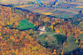 Aerial view of Slevogthof in Leinsweiler in the state Rhineland-Palatinate, Germany