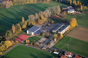 Oblique view of District Ingenheim in Billigheim-Ingenheim in the state Rhineland-Palatinate, Germany