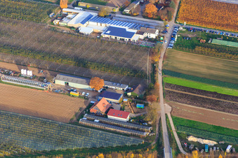 Zapf Farm Market in Kandel in the state Rhineland-Palatinate, Germany out of the air