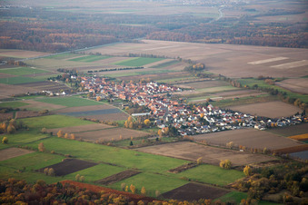 From the southeast in Erlenbach bei Kandel in the state Rhineland-Palatinate, Germany