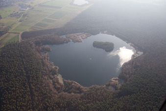 Cabbage plate strike in the district Graben in Graben-Neudorf in the state Baden-Wuerttemberg, Germany