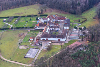 Aerial view of Horse boarding at Liebfrauenberg Monastery in Bad Bergzabern in the state Rhineland-Palatinate, Germany