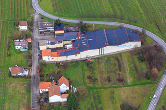 Emil Wissing Winery GmbH in Oberotterbach in the state Rhineland-Palatinate, Germany