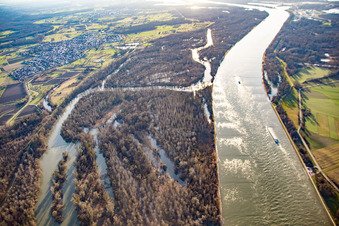 Aerial view of Auer Köpfle Illinger Altrheinauen in Au am Rhein in the state Baden-Wuerttemberg, Germany