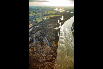 Aerial photograpy of Auer Köpfle Illinger Altrheinauen in Au am Rhein in the state Baden-Wuerttemberg, Germany