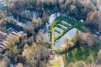 Shore areas of the ponds for fish farming on Lauter in Scheibenhard in Grand Est, France