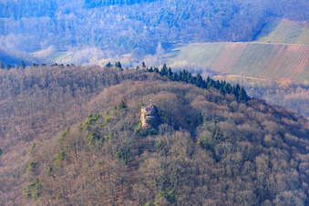 Neukastel Castle Ruins in Leinsweiler in the state Rhineland-Palatinate, Germany