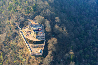 Rietburg Castle Ruins in Rhodt unter Rietburg in the state Rhineland-Palatinate, Germany from above