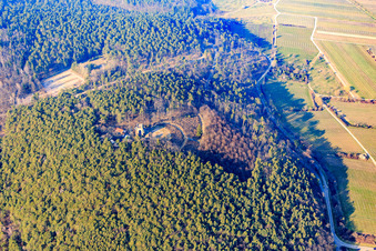 Aerial view of Victory and Peace Monument in Edenkoben in the state Rhineland-Palatinate, Germany