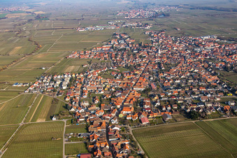 Aerial view of Alsterweiler Hauptstr in Maikammer in the state Rhineland-Palatinate, Germany