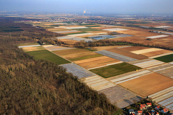 Fields under slides in Freisbach in the state Rhineland-Palatinate, Germany