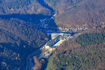 Wasgausstraße industrial area with Buchmann GmbH and CHRIPA Paletten GmbH & Co. KG in the district Sarnstall in Annweiler am Trifels in the state Rhineland-Palatinate, Germany