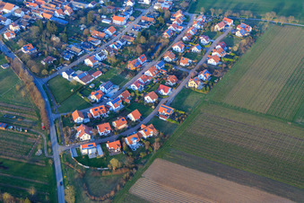 Aerial view of In the pea field in the district Mörzheim in Landau in der Pfalz in the state Rhineland-Palatinate, Germany