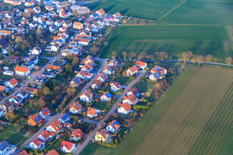 Oblique view of In the pea field in the district Mörzheim in Landau in der Pfalz in the state Rhineland-Palatinate, Germany
