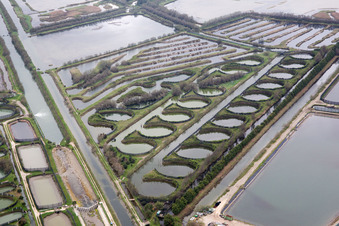 Pila in the state Veneto, Italy viewn from the air