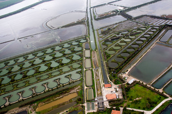 Ponds for fish farming at the delta mouth of the river Po in Porto Tolle in Veneto, Italy