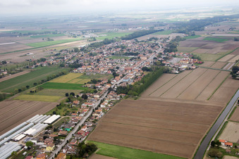 Aerial view of Bosco Mesola in the state Ferrara, Italy