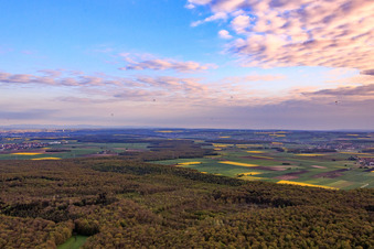Forest near Sulzheim in Grettstadt in the state Bavaria, Germany