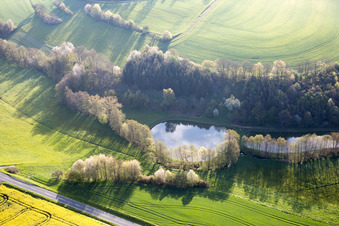 Pond in the district Prölsdorf in Rauhenebrach in the state Bavaria, Germany