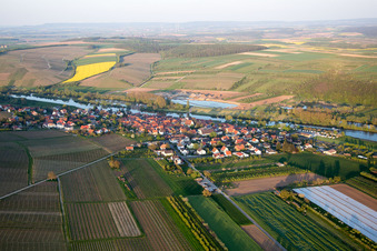 Village on the river bank areas of the Main river in the district Obereisenheim in Eisenheim in the state Bavaria