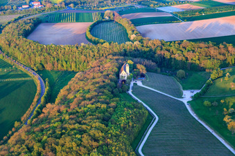 Hallburg Castle Wine Shop on the Main River in Volkach in the state Bavaria, Germany