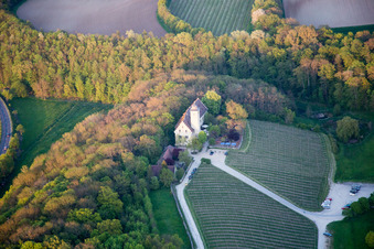 Castle of Hallburg Vinothek with wine yard in Volkach in the state Bavaria, Germany