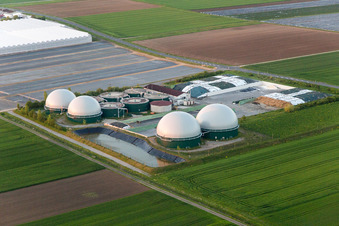 Aerial view of Glass roof surfaces in the greenhouse rows for Floriculture in the district Oberspiesheim in Kolitzheim in the state Bavaria, Germany