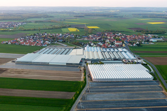 Oblique view of Glass roof surfaces in the greenhouse rows for Floriculture in the district Oberspiesheim in Kolitzheim in the state Bavaria, Germany
