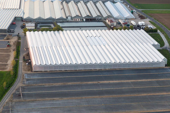 Glass roof surfaces in the greenhouse rows for Floriculture in the district Oberspiesheim in Kolitzheim in the state Bavaria, Germany from above