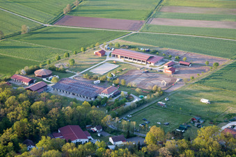 Farm on the edge of cultivated fields in Grosslangheim in the state Bavaria, Germany