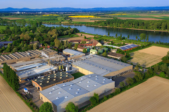 Oblique view of Intersnack Deutschland SE plant in Petersau on the banks of the Rhine in the district Mörsch in Frankenthal in the state Rhineland-Palatinate, Germany