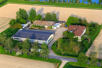 Aerial view of Petersau on the banks of the Rhine in the district Mörsch in Frankenthal in the state Rhineland-Palatinate, Germany